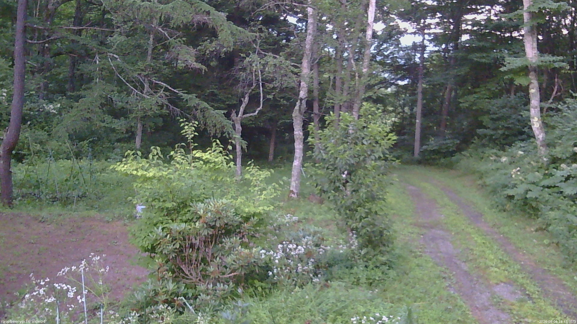 長野県菅平高原 ゆたか山荘 坂上 2026/08/04 18:45
