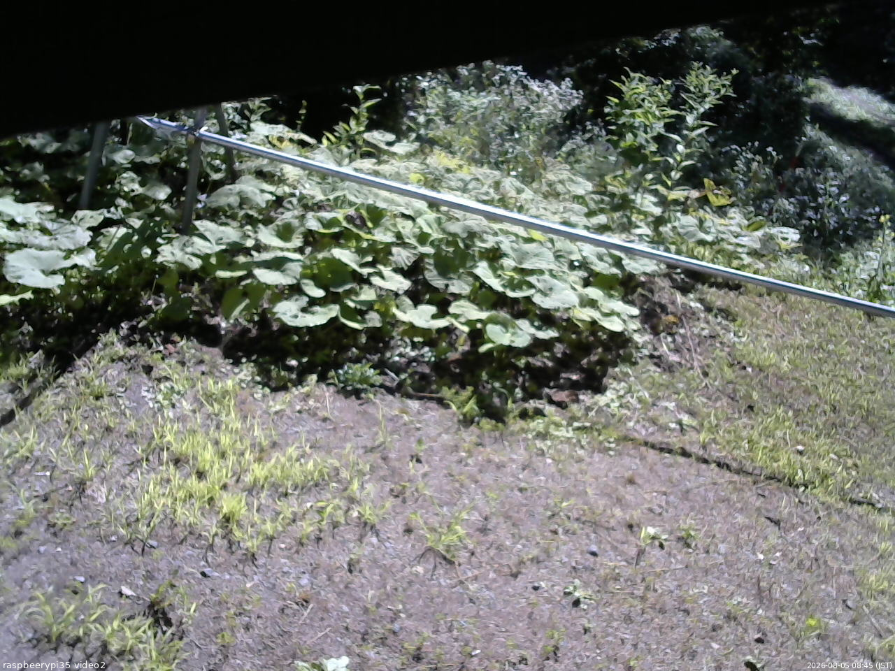 長野県菅平高原 ゆたか山荘 駐車場 2026/08/05 08:45