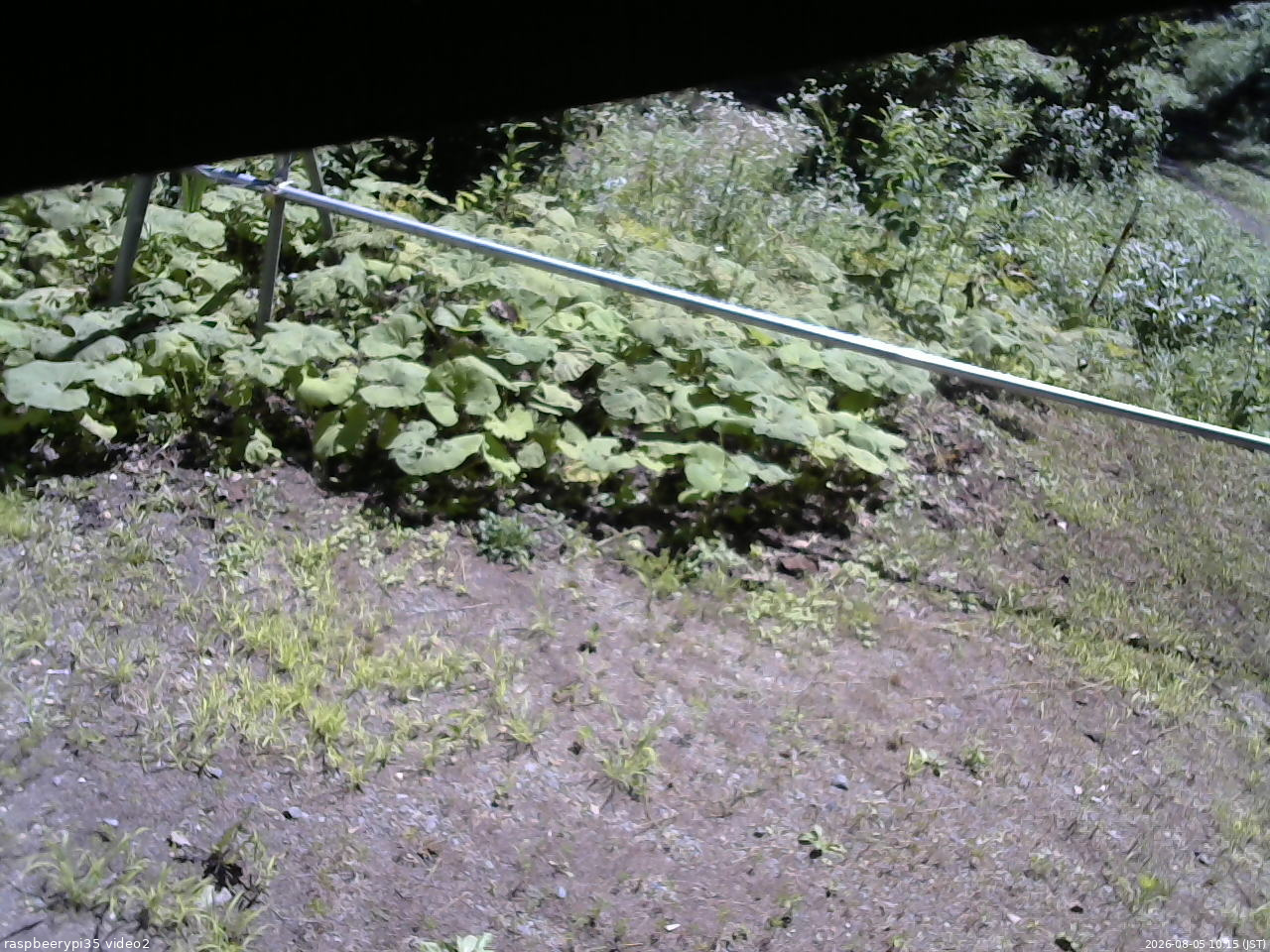 長野県菅平高原 ゆたか山荘 駐車場 2026/08/05 10:15