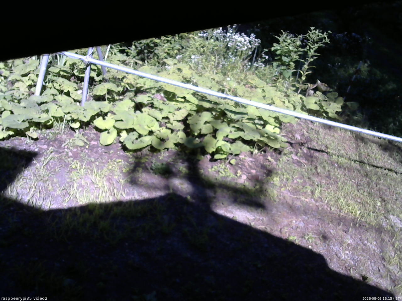 長野県菅平高原 ゆたか山荘 駐車場 2026/08/05 15:15
