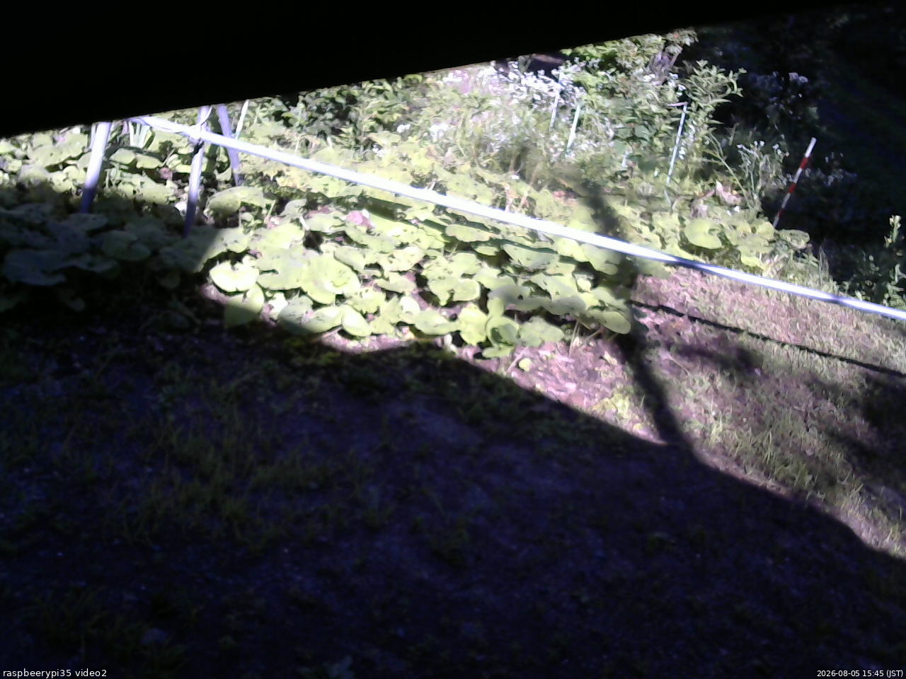 長野県菅平高原 ゆたか山荘 駐車場 2026/08/05 15:45