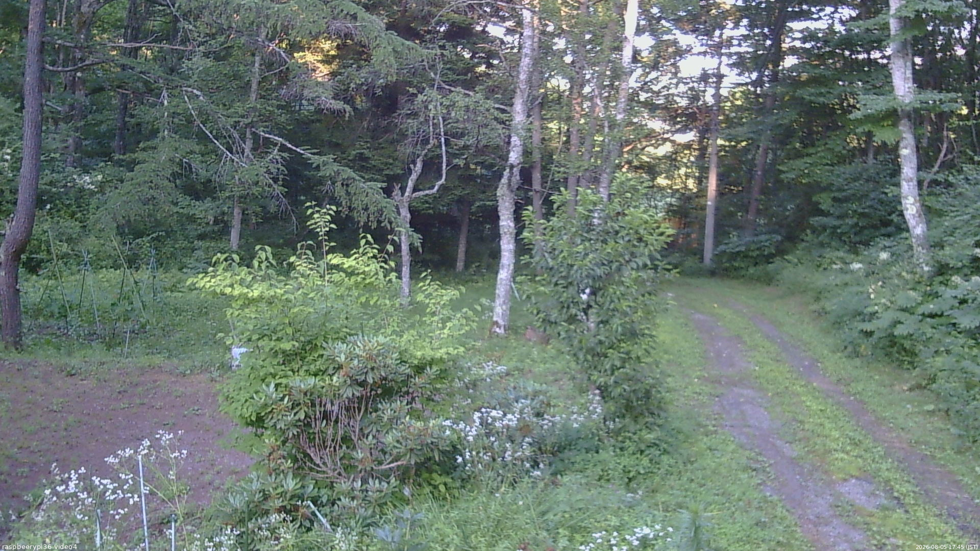 長野県菅平高原 ゆたか山荘 坂上 2026/08/05 17:45