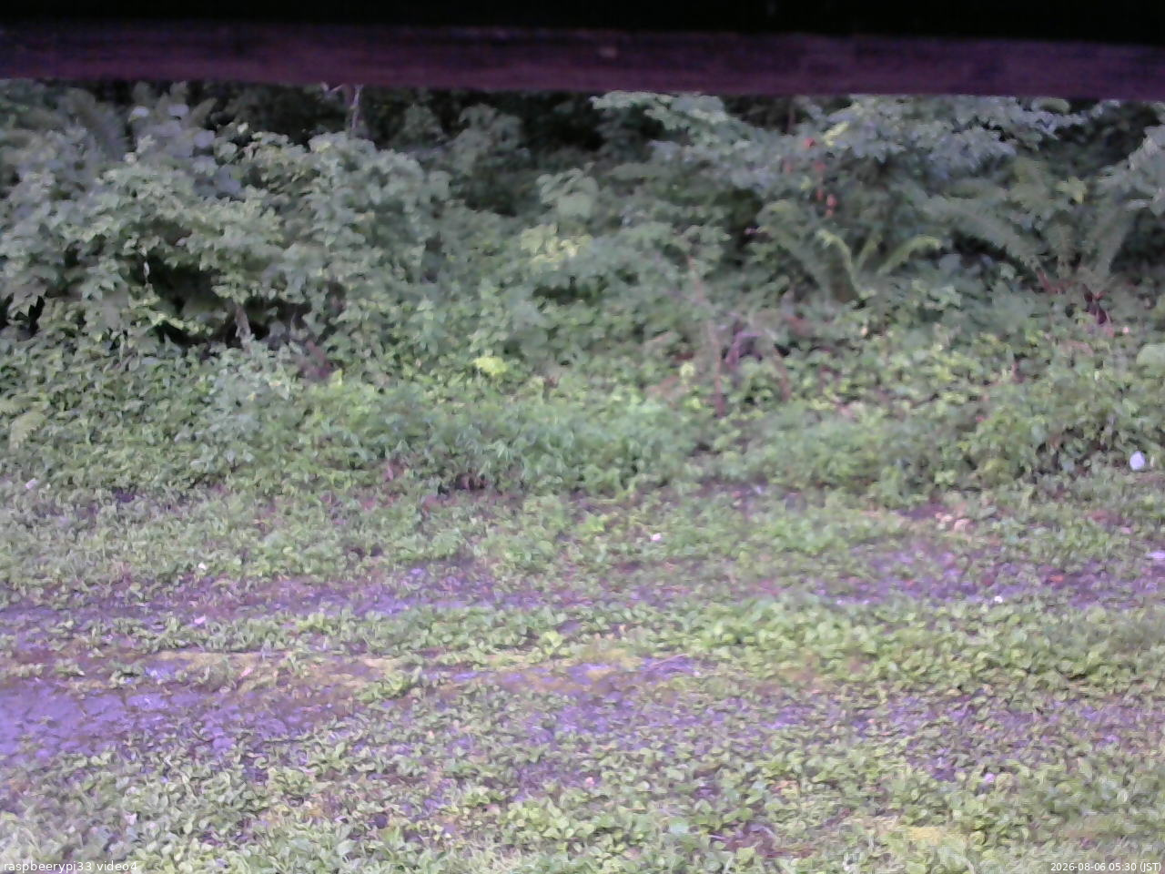 長野県菅平高原 ゆたか山荘 東側(坂下) 2026/08/06 05:30