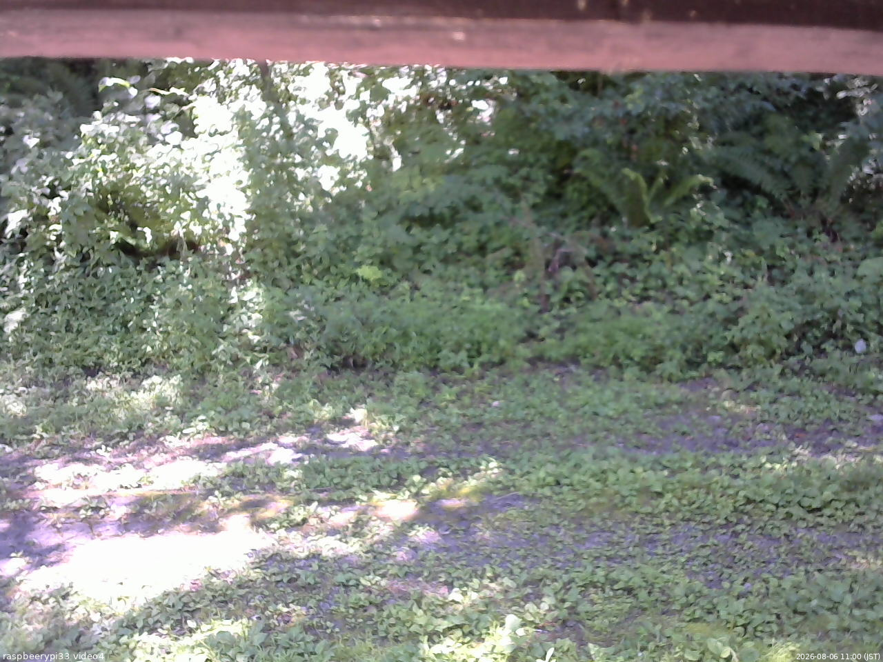 長野県菅平高原 ゆたか山荘 東側(坂下) 2026/08/06 11:00
