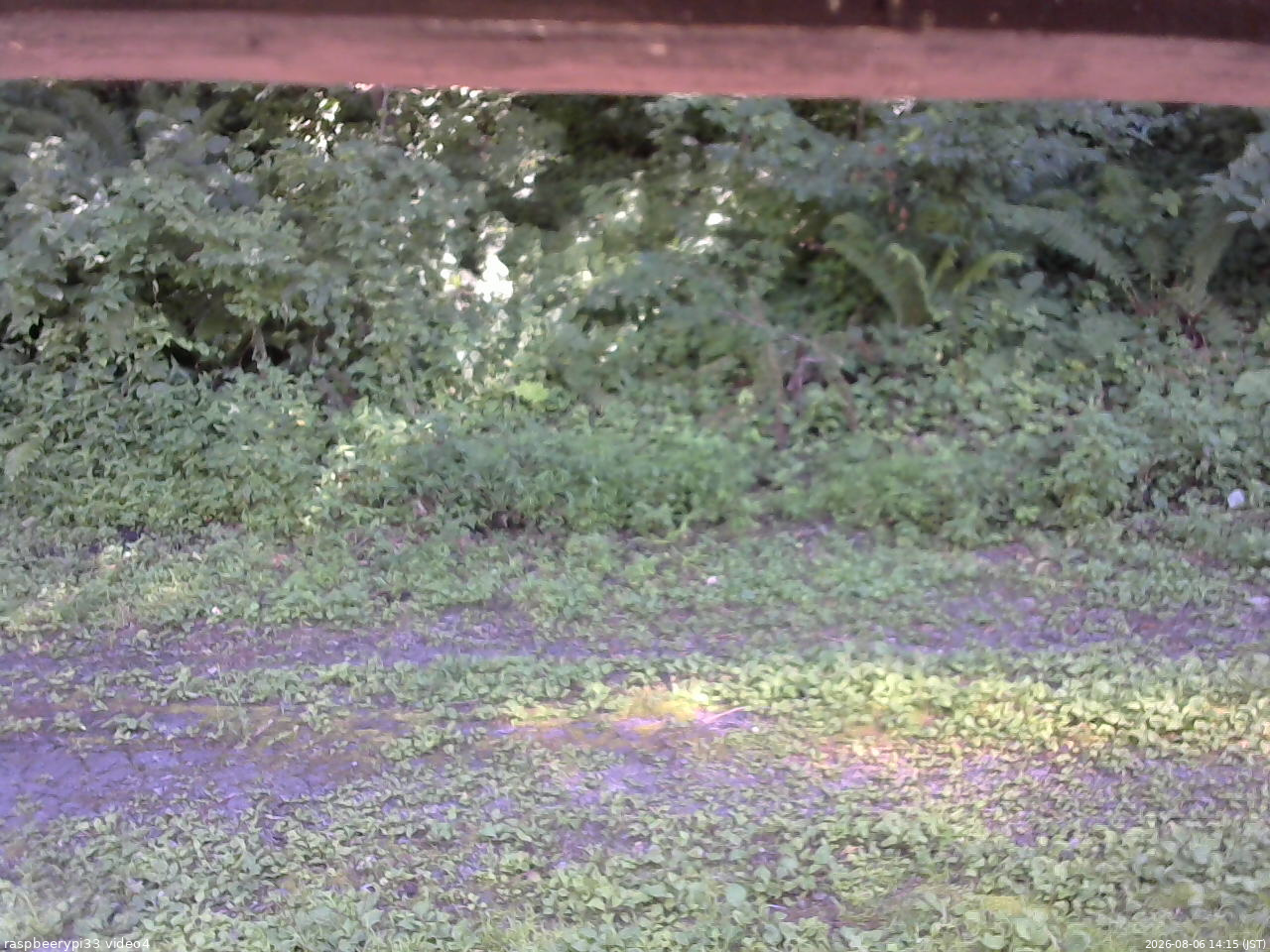 長野県菅平高原 ゆたか山荘 東側(坂下) 2026/08/06 14:15