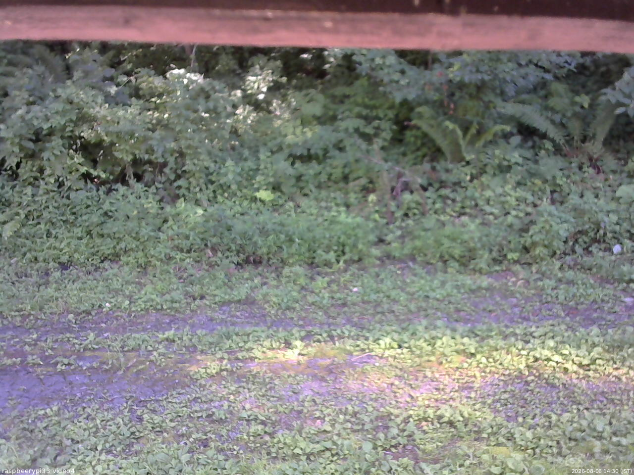 長野県菅平高原 ゆたか山荘 東側(坂下) 2026/08/06 14:30