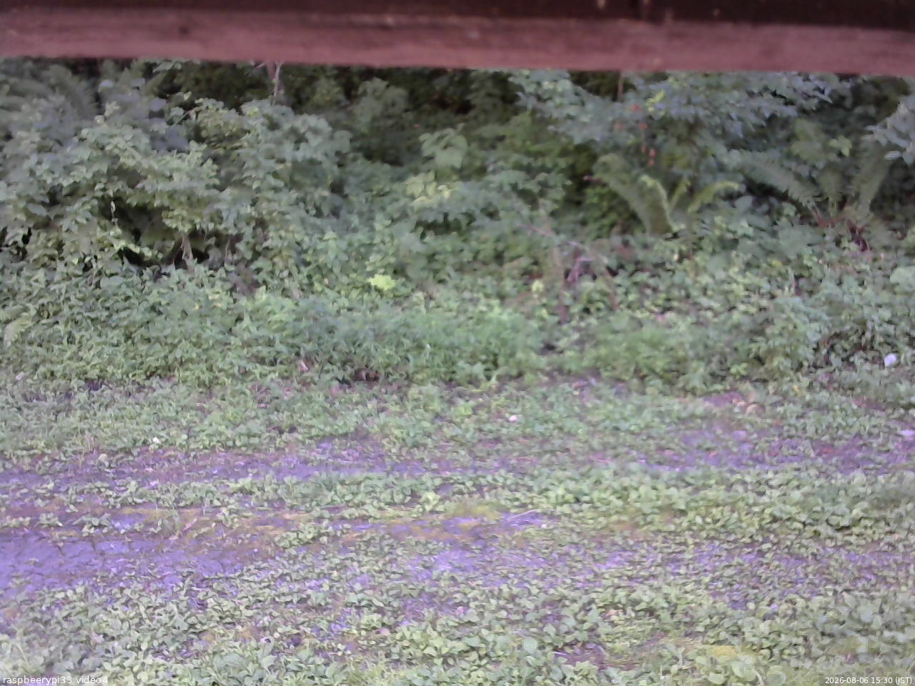 長野県菅平高原 ゆたか山荘 東側(坂下) 2026/08/06 15:30