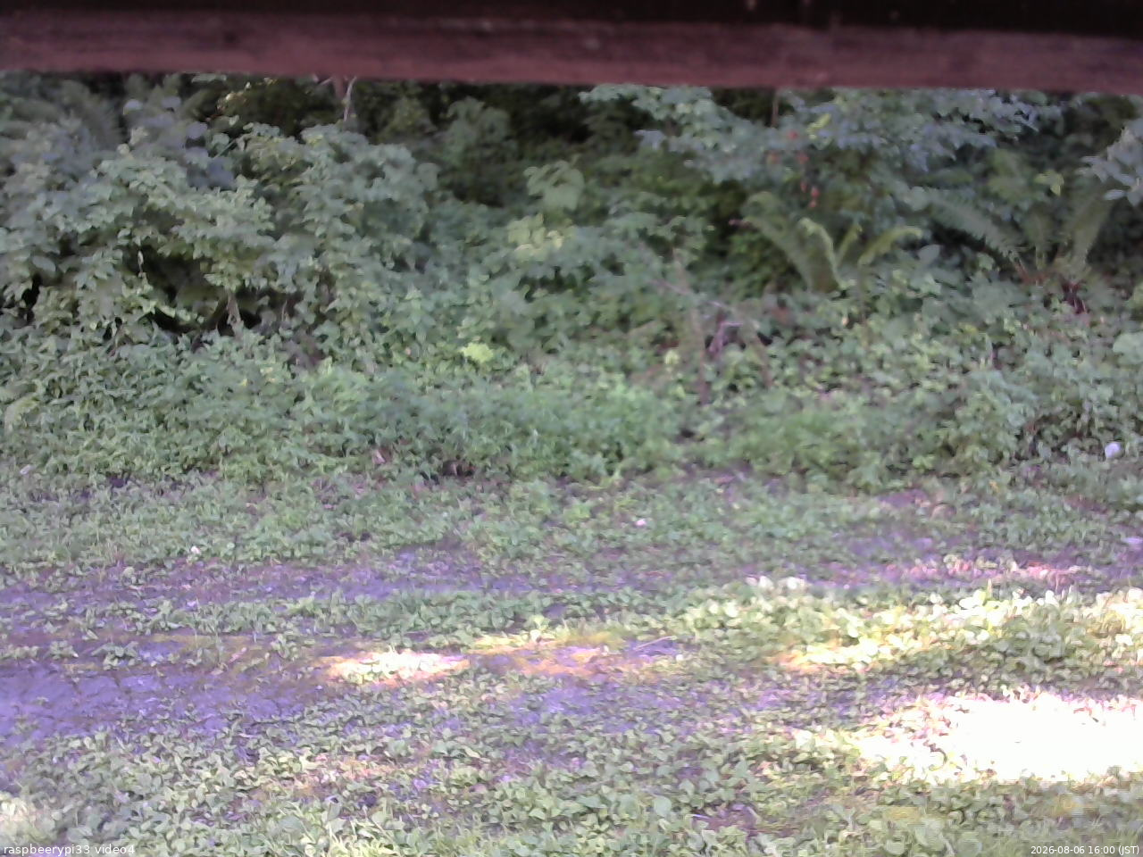 長野県菅平高原 ゆたか山荘 東側(坂下) 2026/08/06 16:00