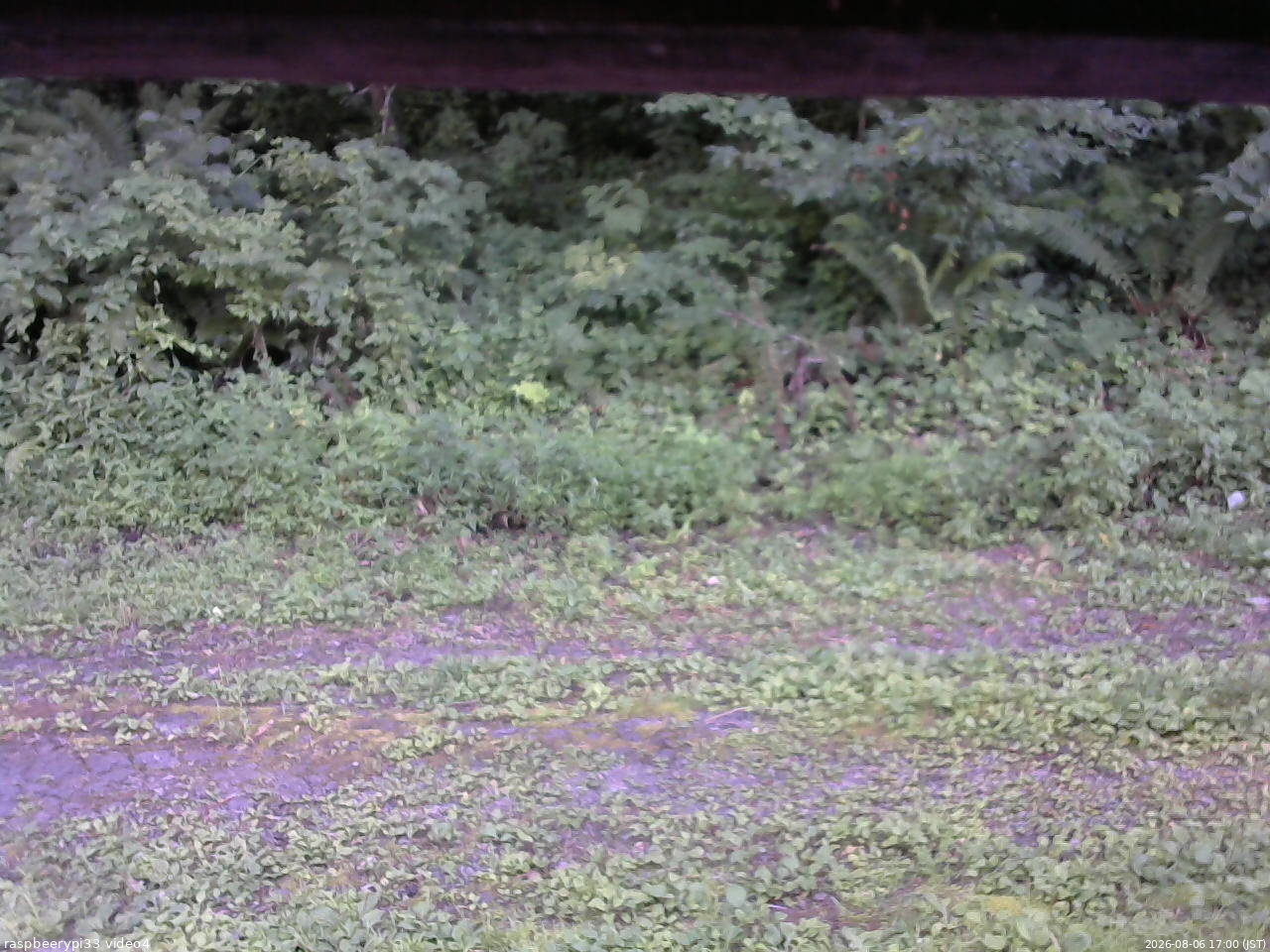 長野県菅平高原 ゆたか山荘 東側(坂下) 2026/08/06 17:00