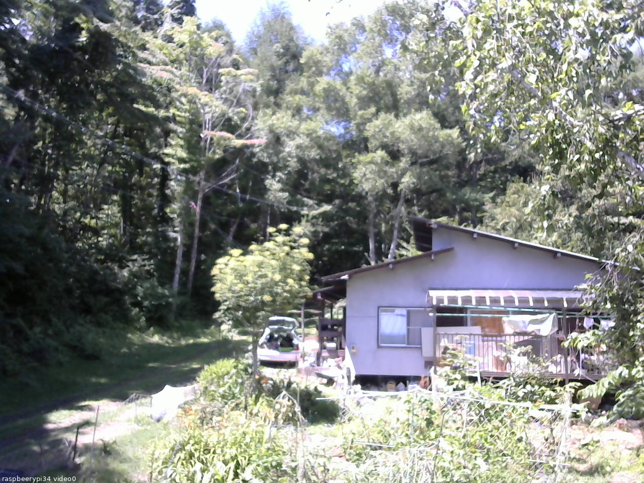 長野県菅平高原 ゆたか山荘 西側(坂上) 2026/08/06 11:15