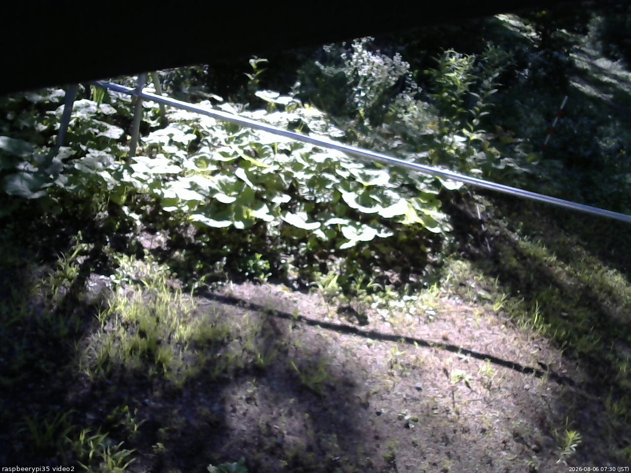長野県菅平高原 ゆたか山荘 駐車場 2026/08/06 07:30