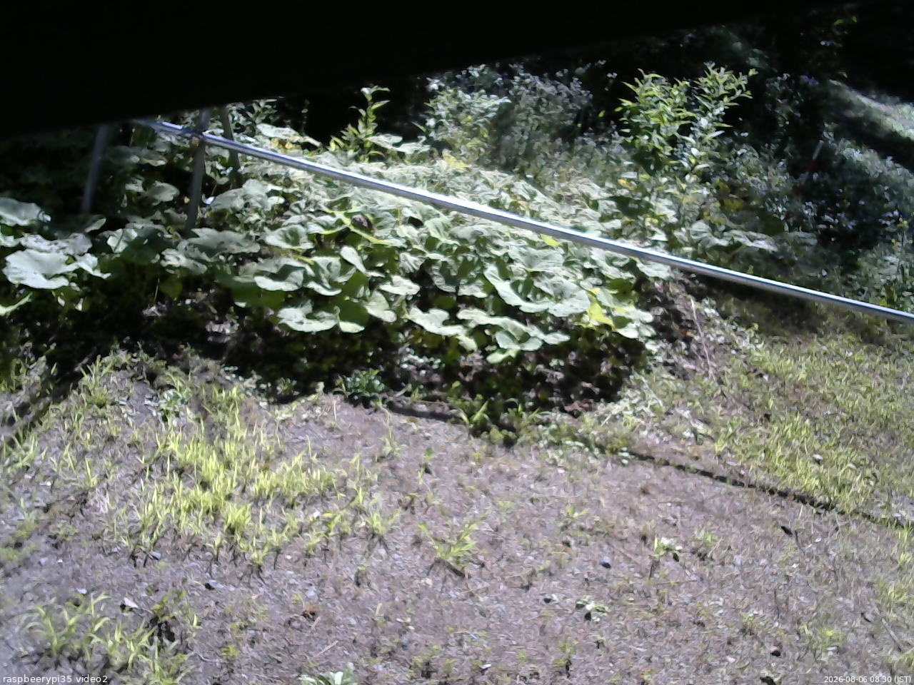 長野県菅平高原 ゆたか山荘 駐車場 2026/08/06 08:30