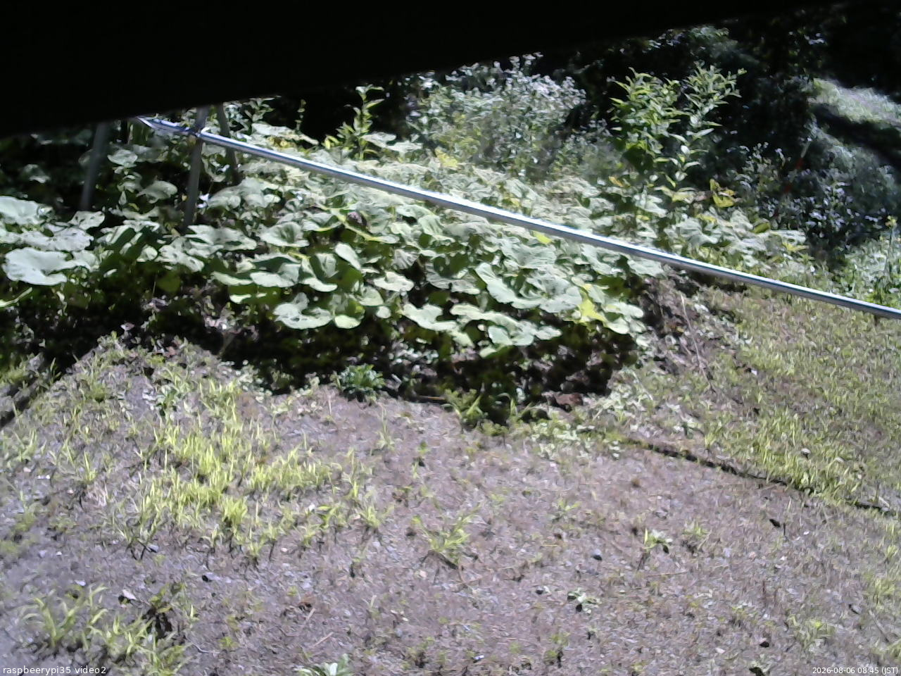 長野県菅平高原 ゆたか山荘 駐車場 2026/08/06 08:45