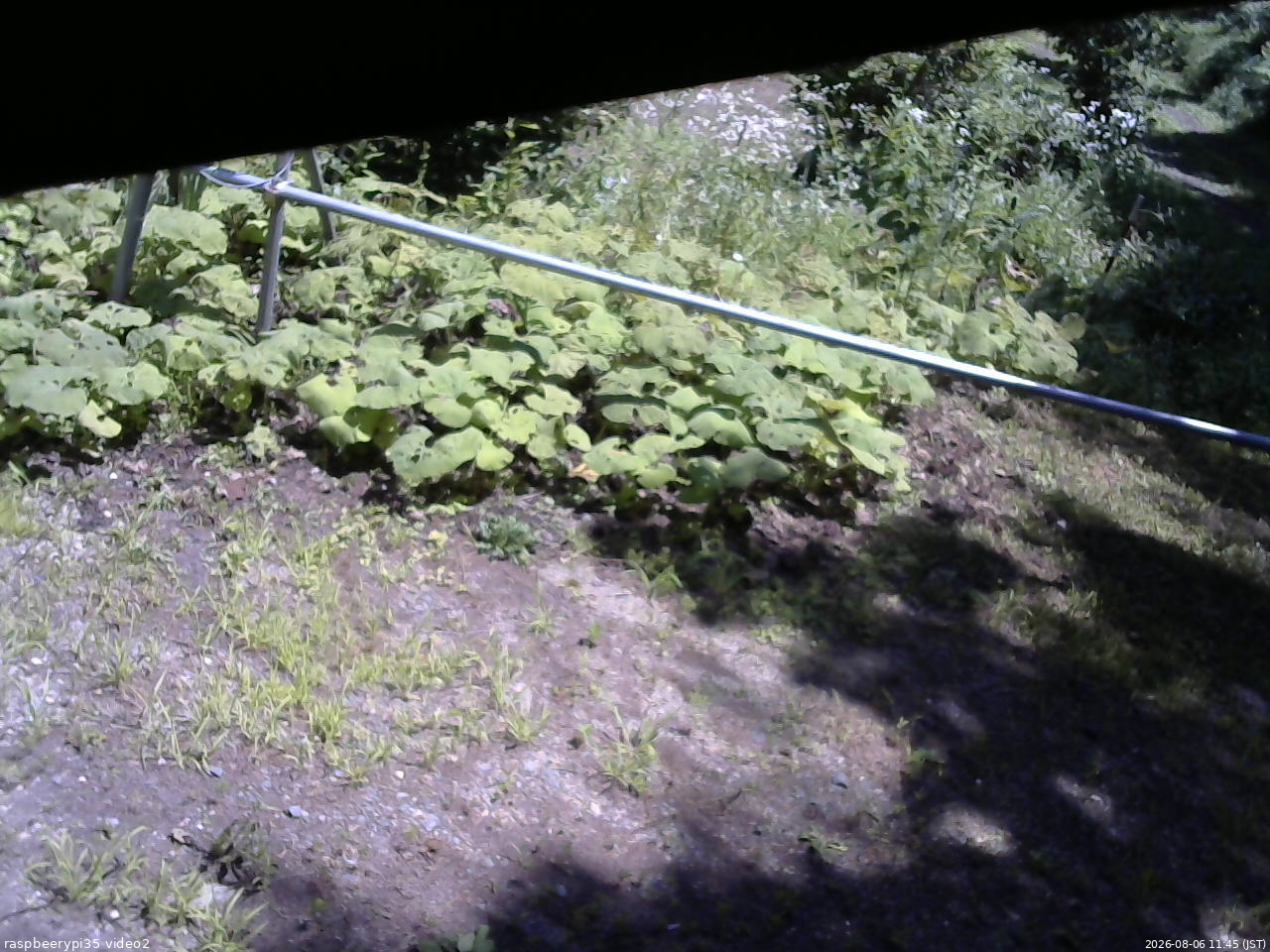 長野県菅平高原 ゆたか山荘 駐車場 2026/08/06 11:45