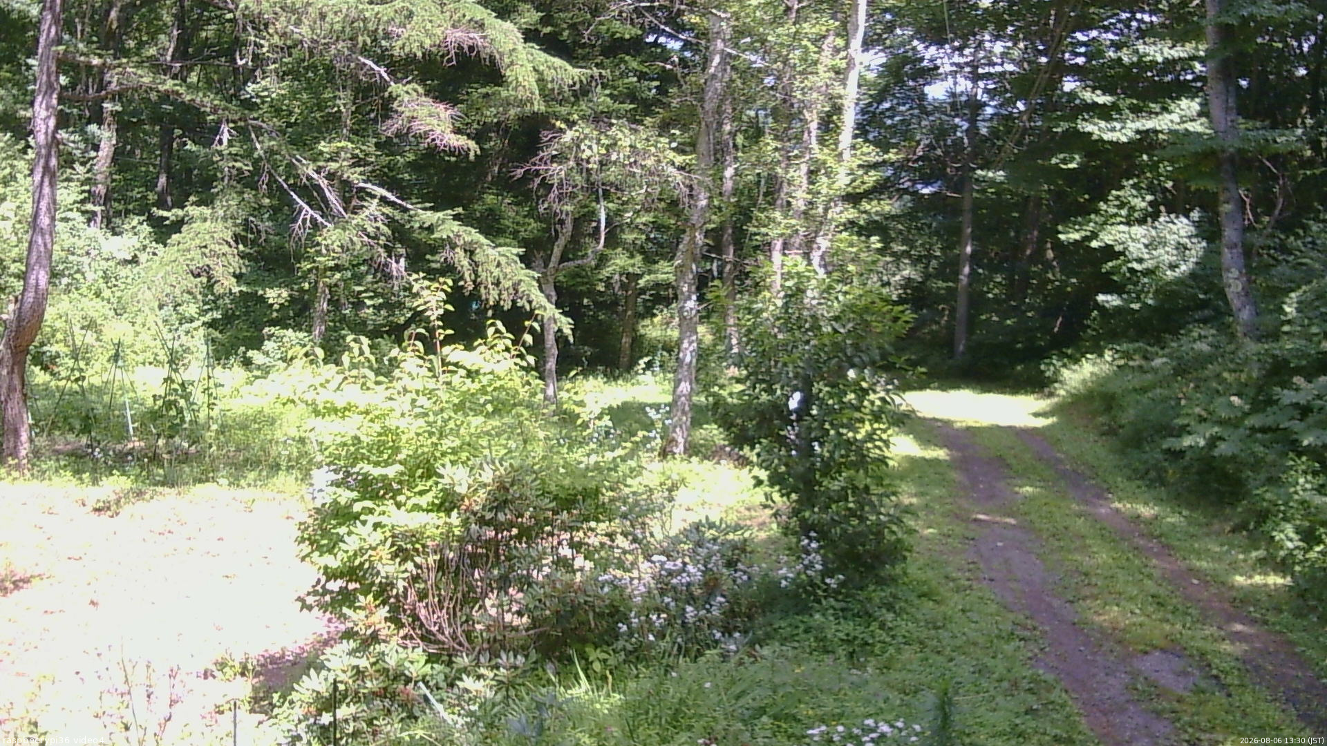 長野県菅平高原 ゆたか山荘 坂上 2026/08/06 13:30