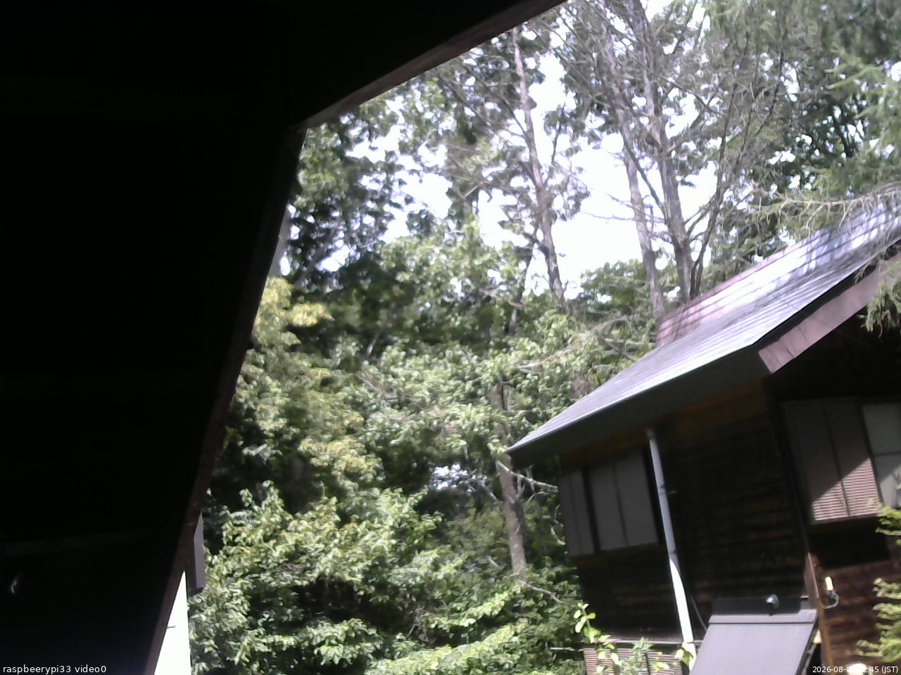 長野県菅平高原 ゆたか山荘 北側 2026/08/07 12:45