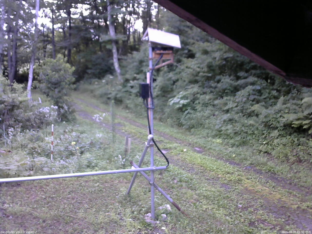 長野県菅平高原 ゆたか山荘 南側 2026/08/07 05:30