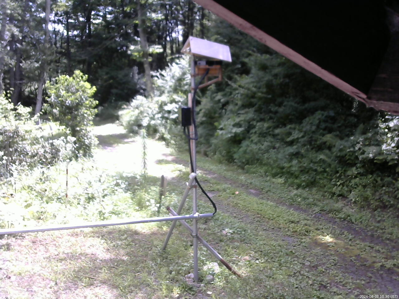 長野県菅平高原 ゆたか山荘 南側 2026/08/07 10:30
