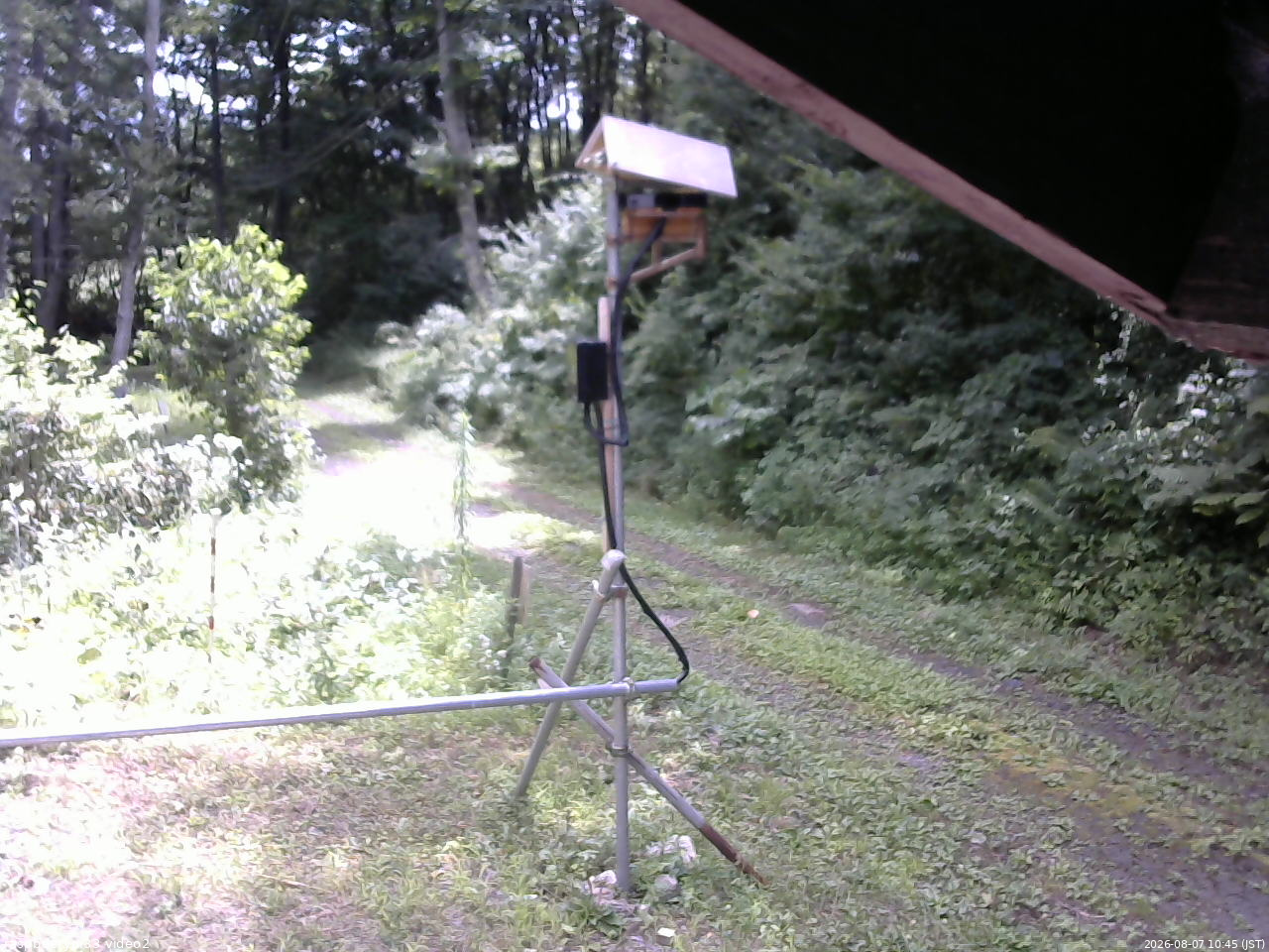 長野県菅平高原 ゆたか山荘 南側 2026/08/07 10:45