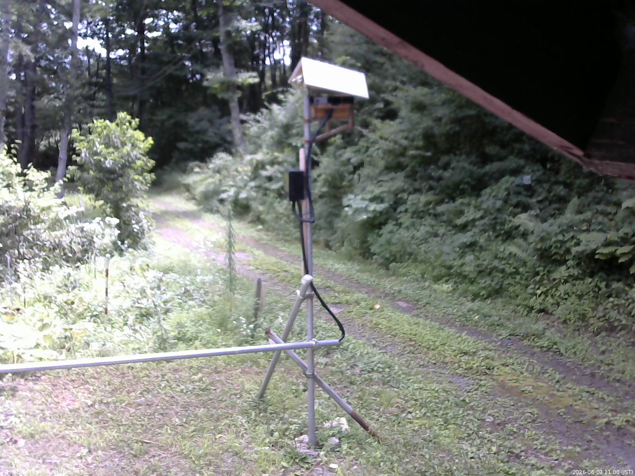 長野県菅平高原 ゆたか山荘 南側 2026/08/07 11:00