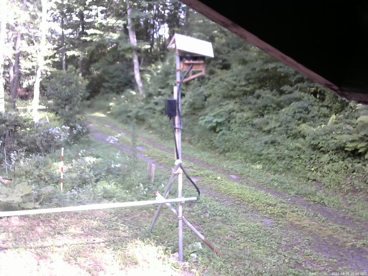 長野県菅平高原 ゆたか山荘 南側 2026/08/07 15:00