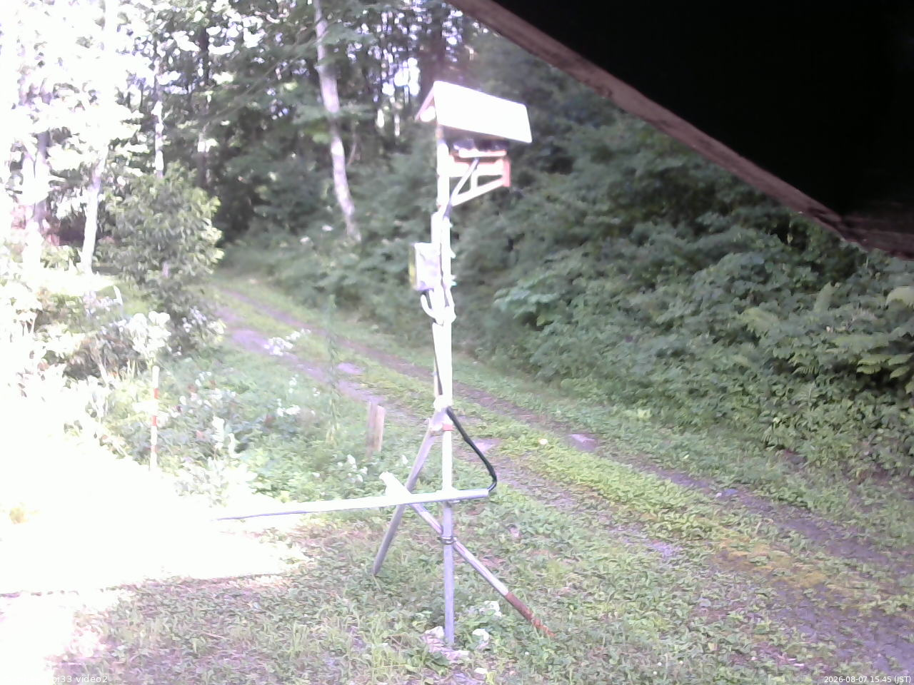 長野県菅平高原 ゆたか山荘 南側 2026/08/07 15:45