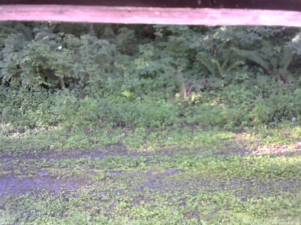 長野県菅平高原 ゆたか山荘 東側(坂下) 2026/08/07 06:45