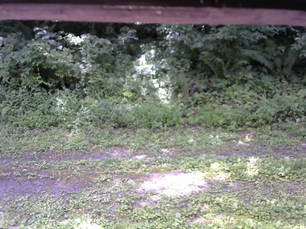 長野県菅平高原 ゆたか山荘 東側(坂下) 2026/08/07 10:30