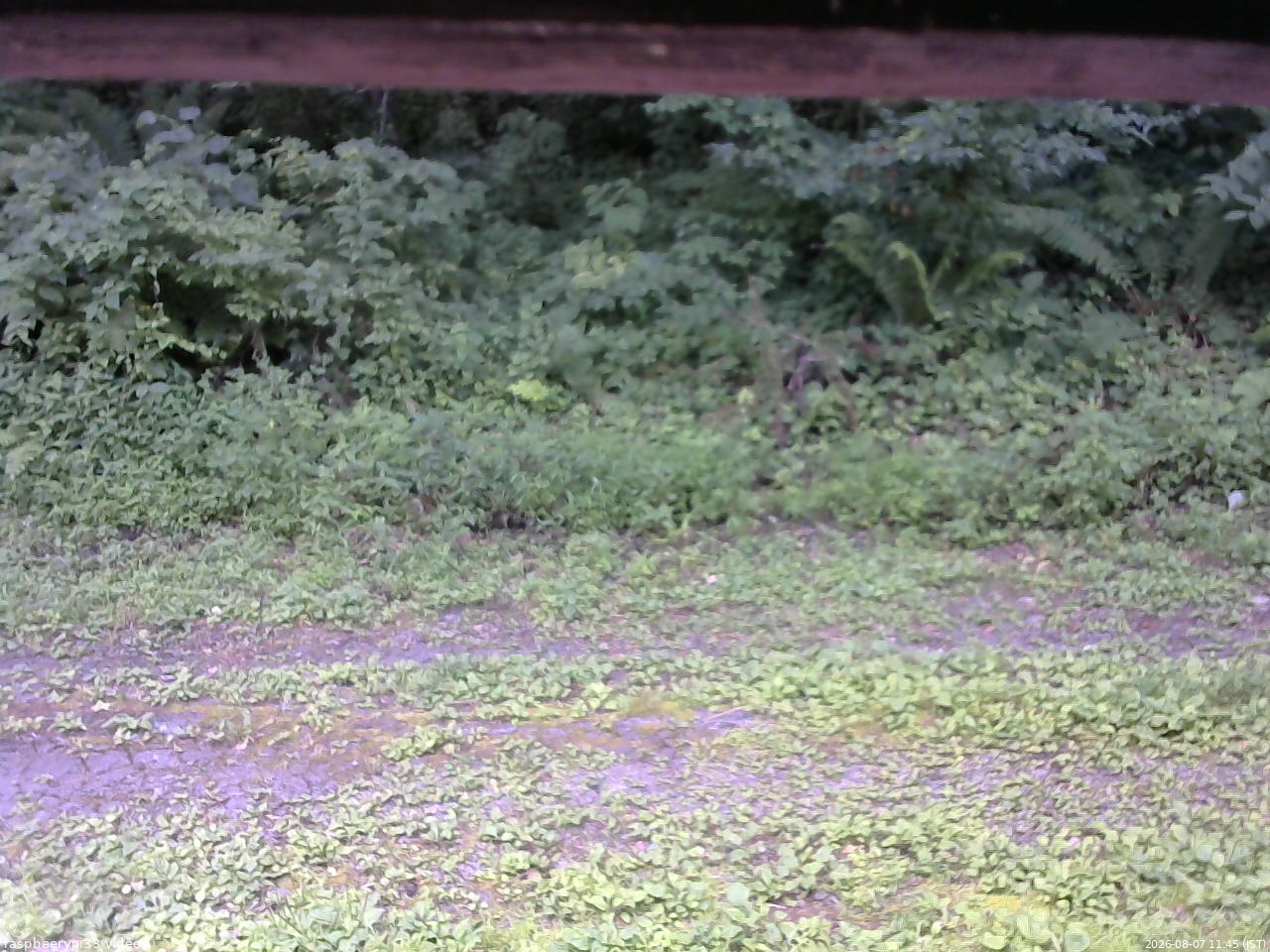 長野県菅平高原 ゆたか山荘 東側(坂下) 2026/08/07 11:45