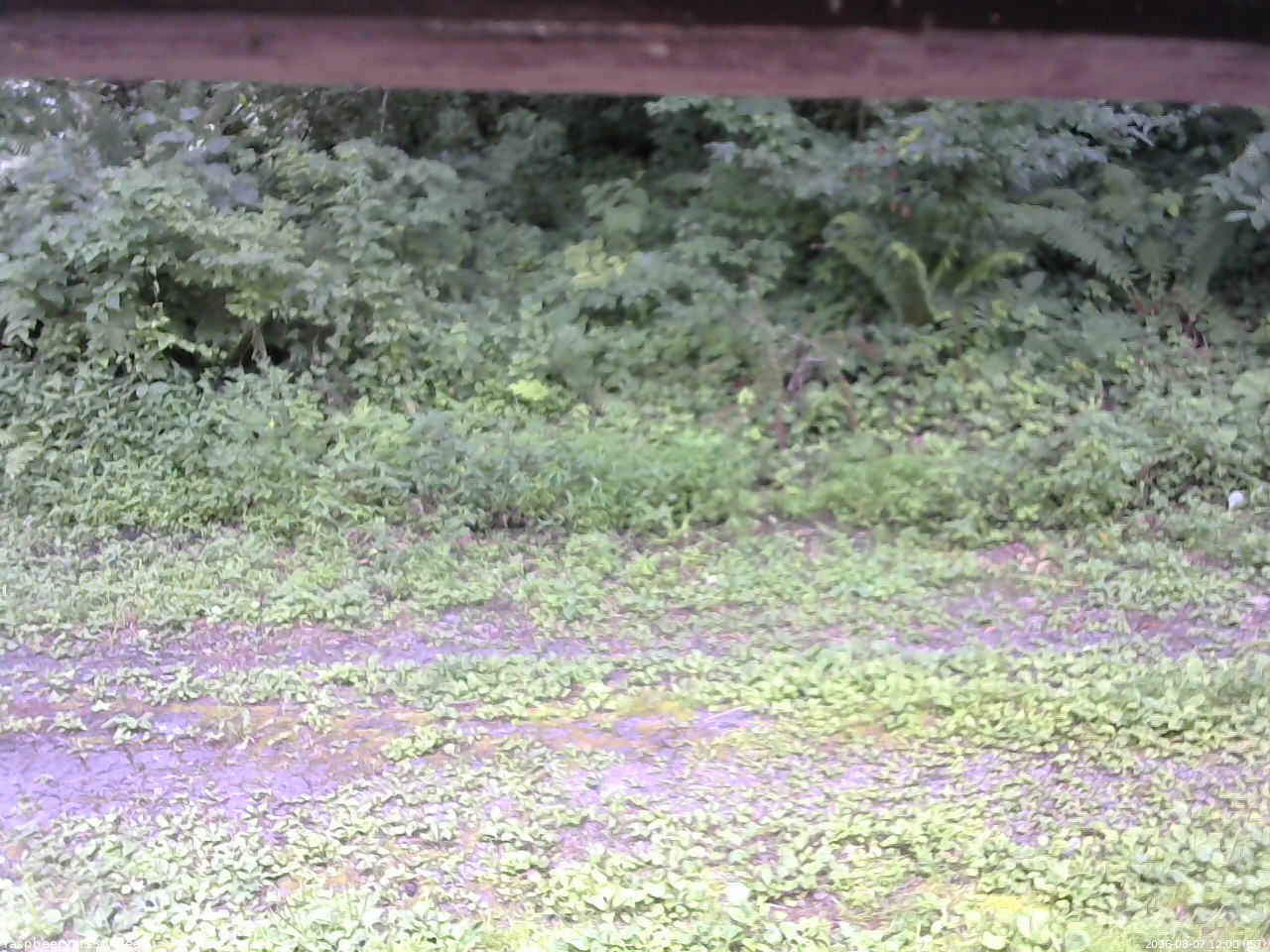 長野県菅平高原 ゆたか山荘 東側(坂下) 2026/08/07 12:00