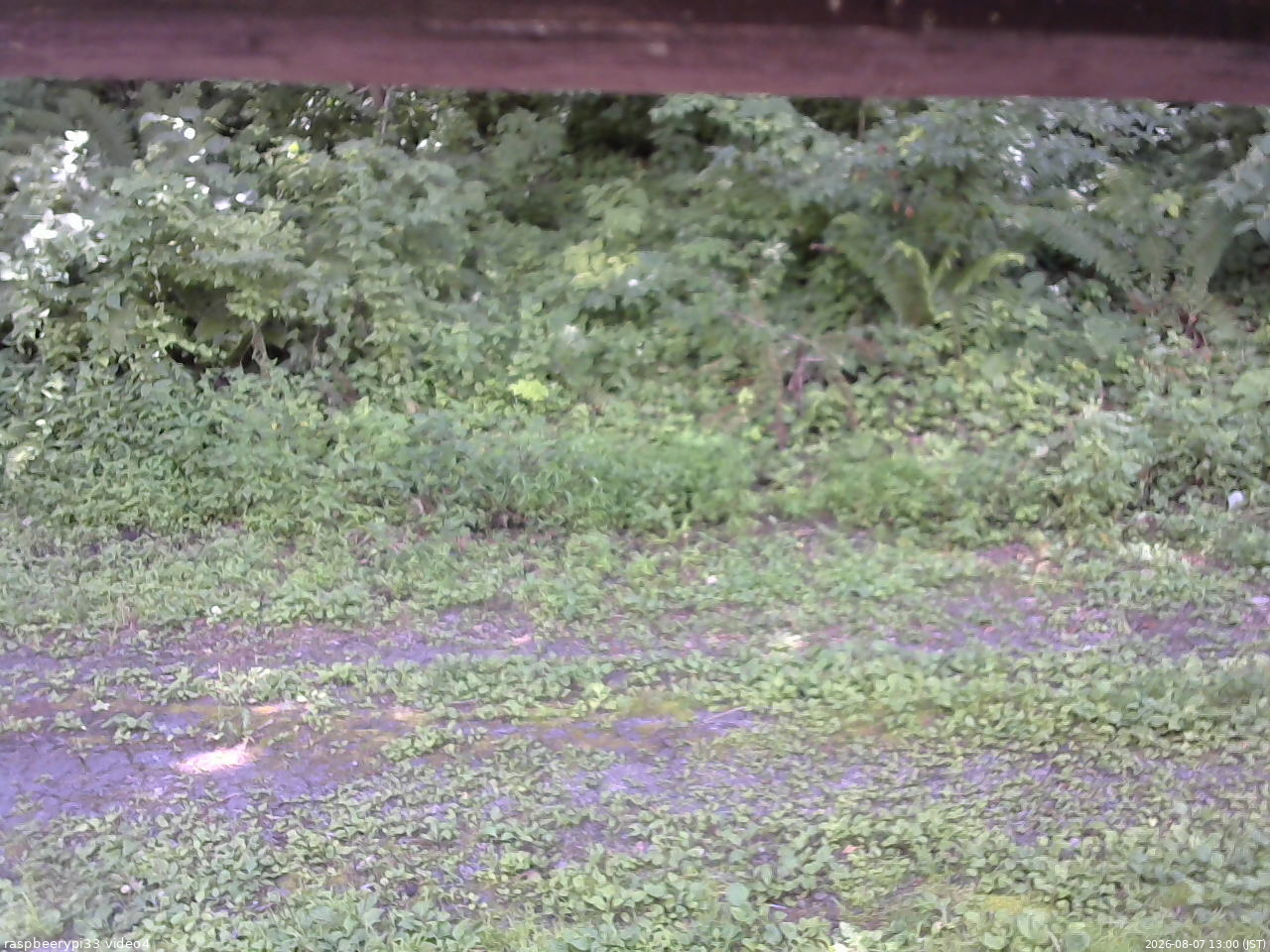 長野県菅平高原 ゆたか山荘 東側(坂下) 2026/08/07 13:00