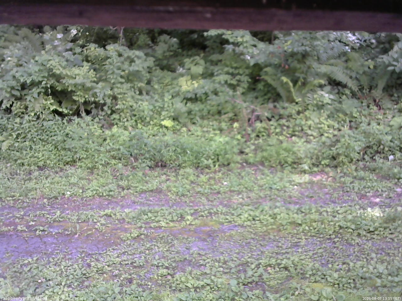 長野県菅平高原 ゆたか山荘 東側(坂下) 2026/08/07 13:15