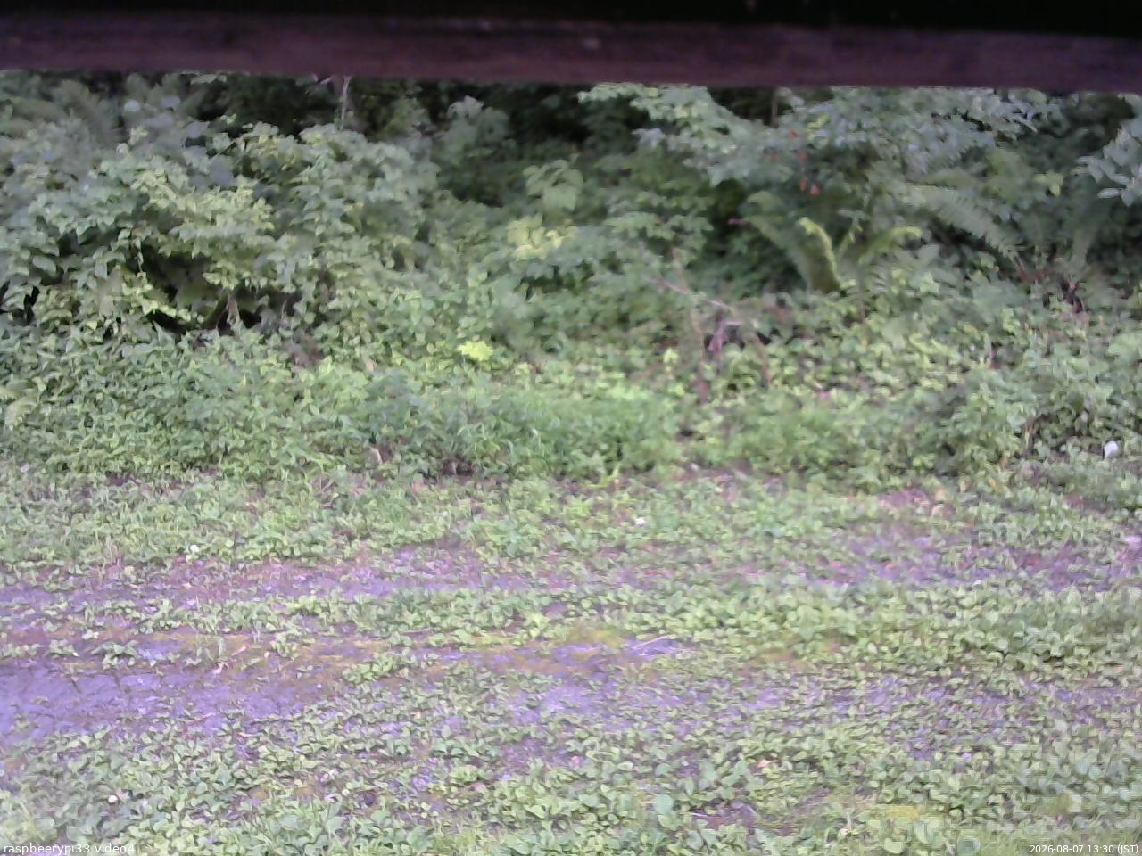 長野県菅平高原 ゆたか山荘 東側(坂下) 2026/08/07 13:30