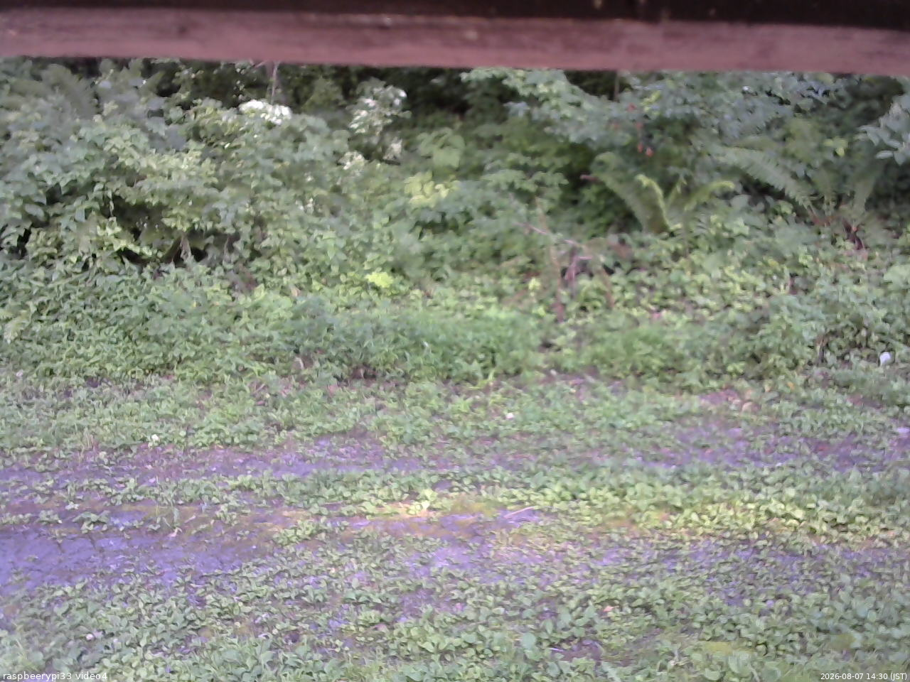 長野県菅平高原 ゆたか山荘 東側(坂下) 2026/08/07 14:30