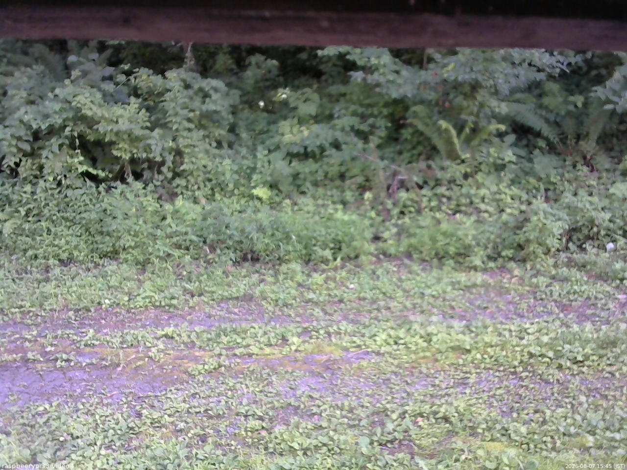 長野県菅平高原 ゆたか山荘 東側(坂下) 2026/08/07 15:45