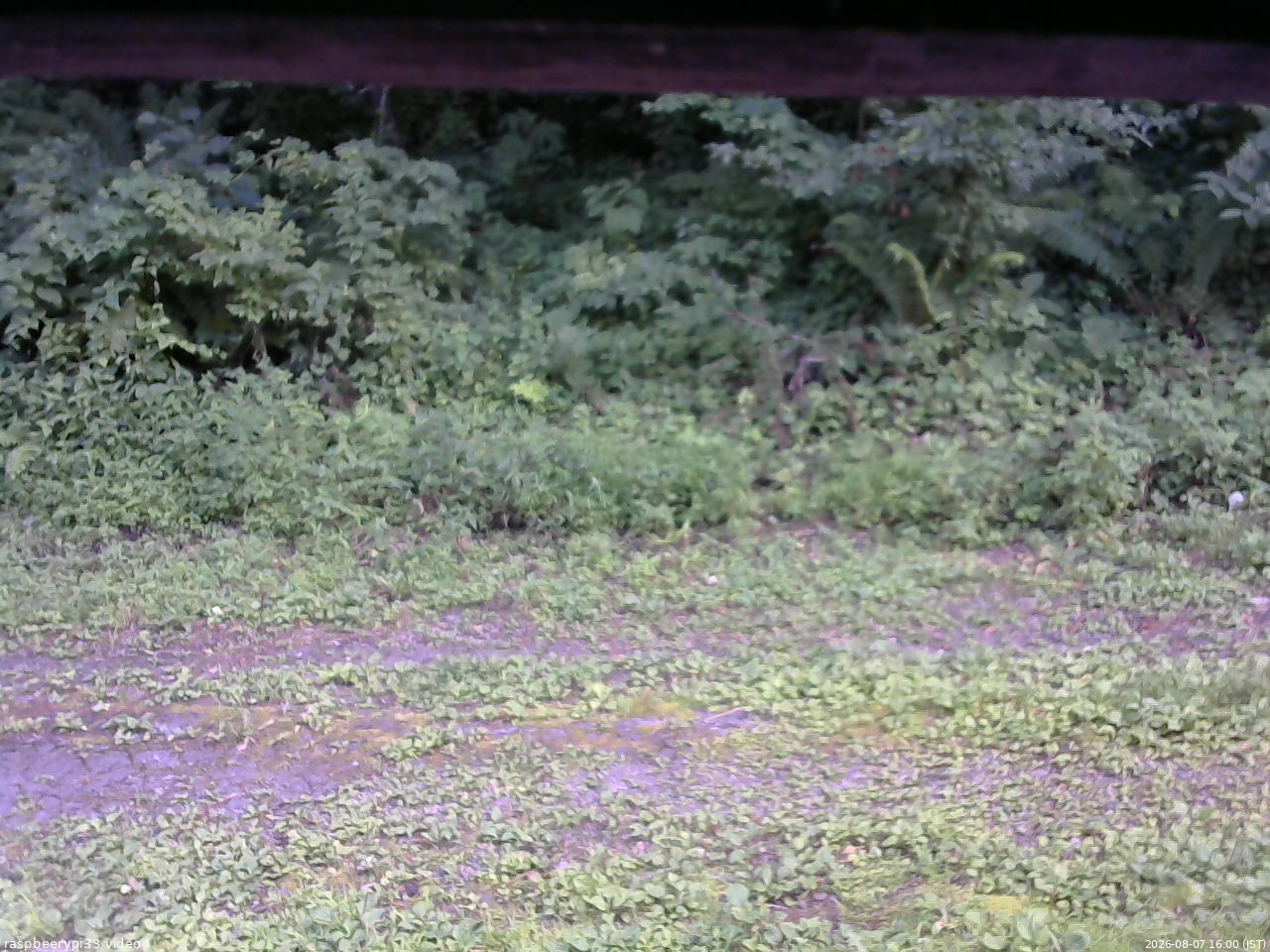 長野県菅平高原 ゆたか山荘 東側(坂下) 2026/08/07 16:00