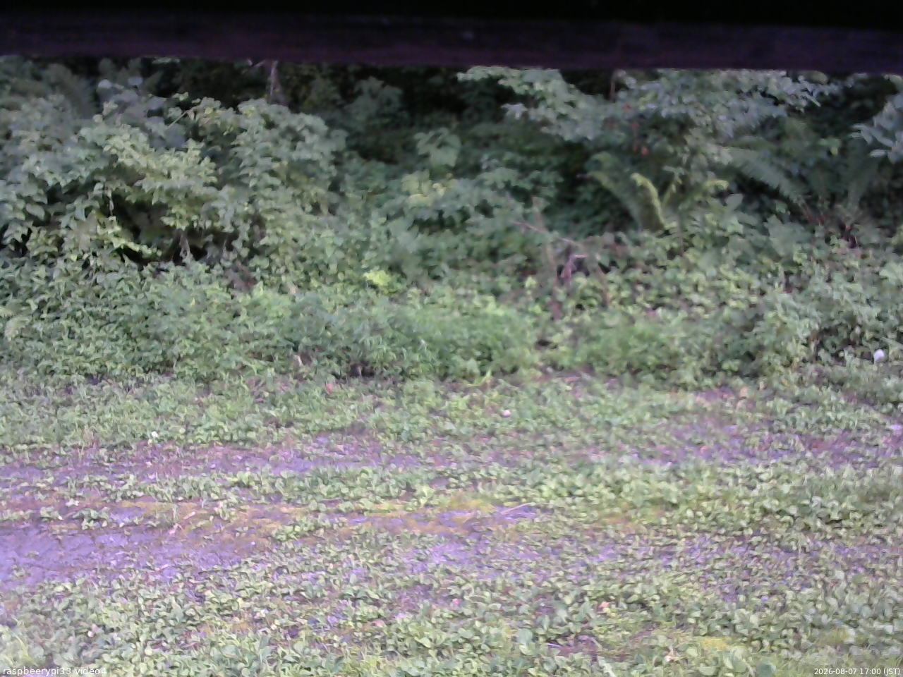 長野県菅平高原 ゆたか山荘 東側(坂下) 2026/08/07 17:00