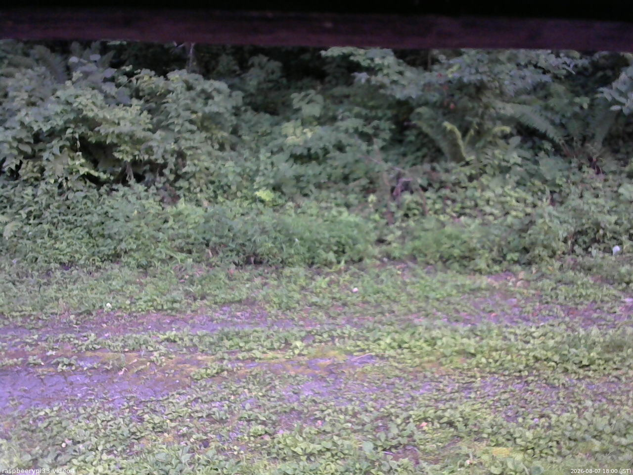 長野県菅平高原 ゆたか山荘 東側(坂下) 2026/08/07 18:00