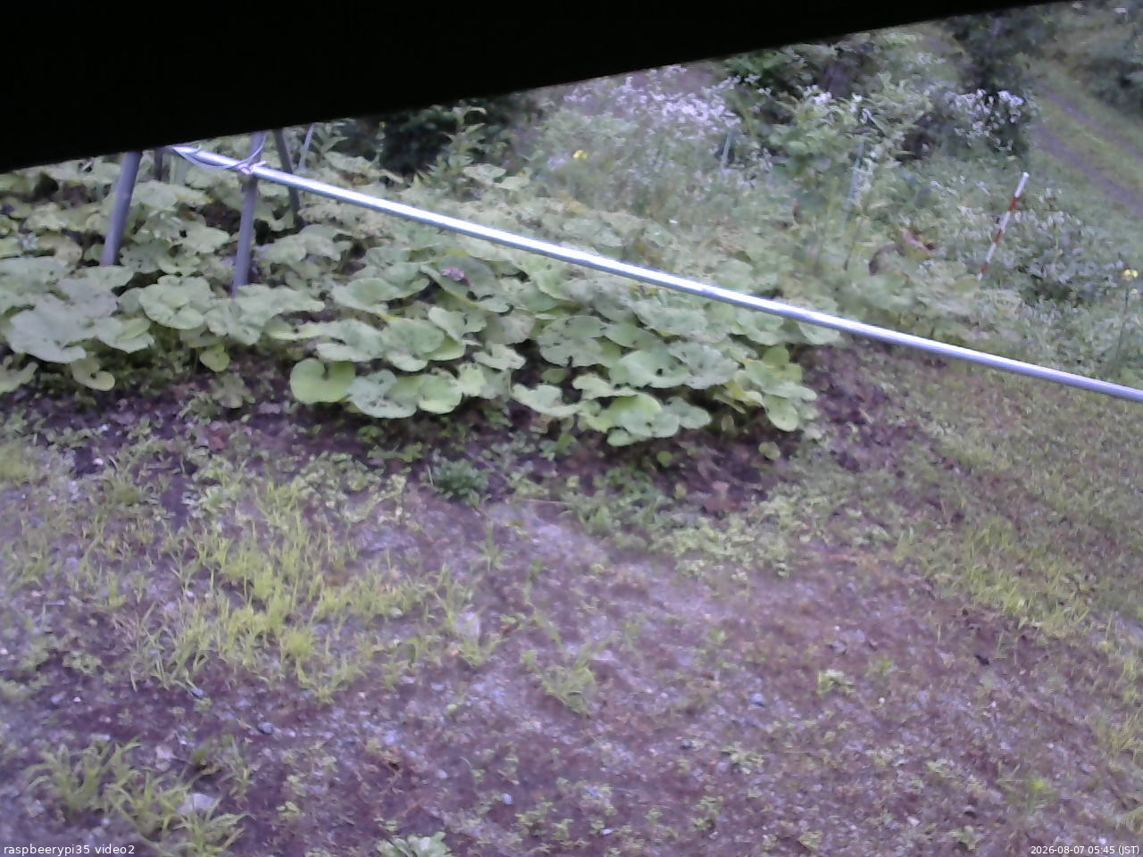 長野県菅平高原 ゆたか山荘 駐車場 2026/08/07 05:45