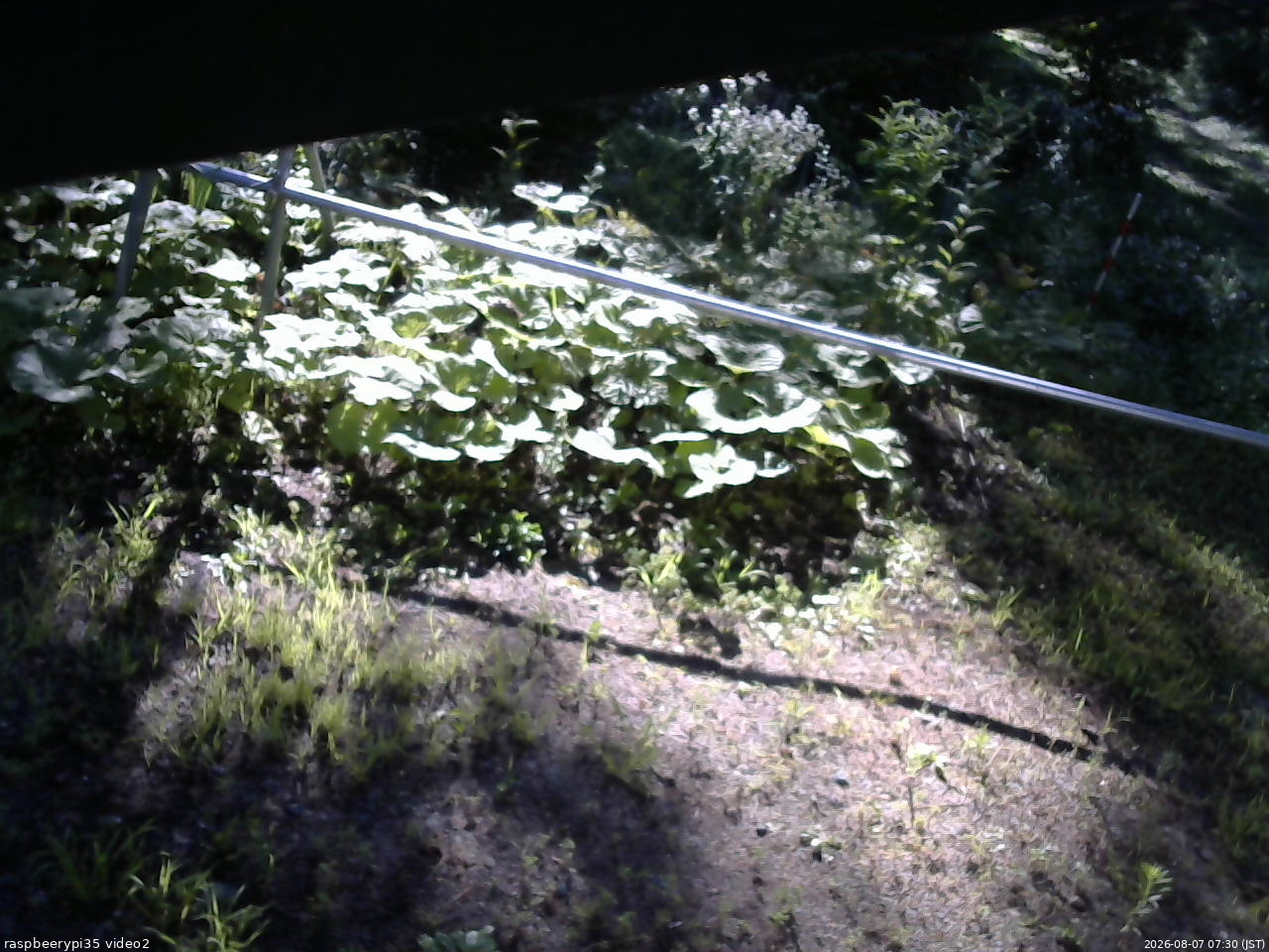 長野県菅平高原 ゆたか山荘 駐車場 2026/08/07 07:30