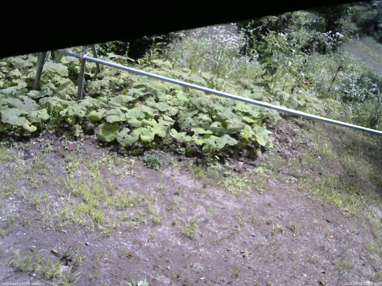 長野県菅平高原 ゆたか山荘 駐車場 2026/08/07 10:45