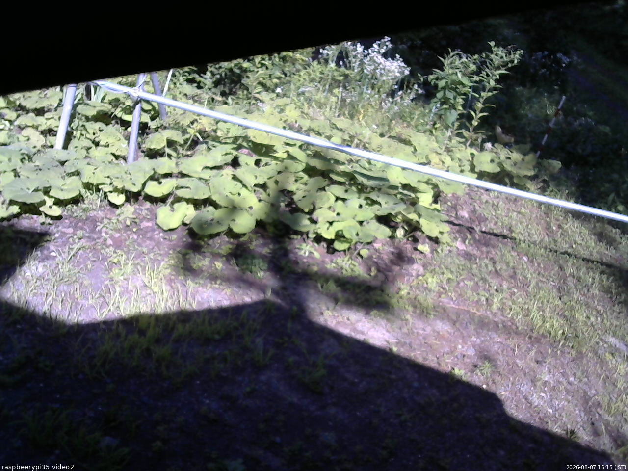 長野県菅平高原 ゆたか山荘 駐車場 2026/08/07 15:15