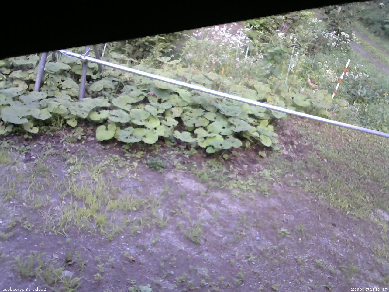 長野県菅平高原 ゆたか山荘 駐車場 2026/08/07 15:30