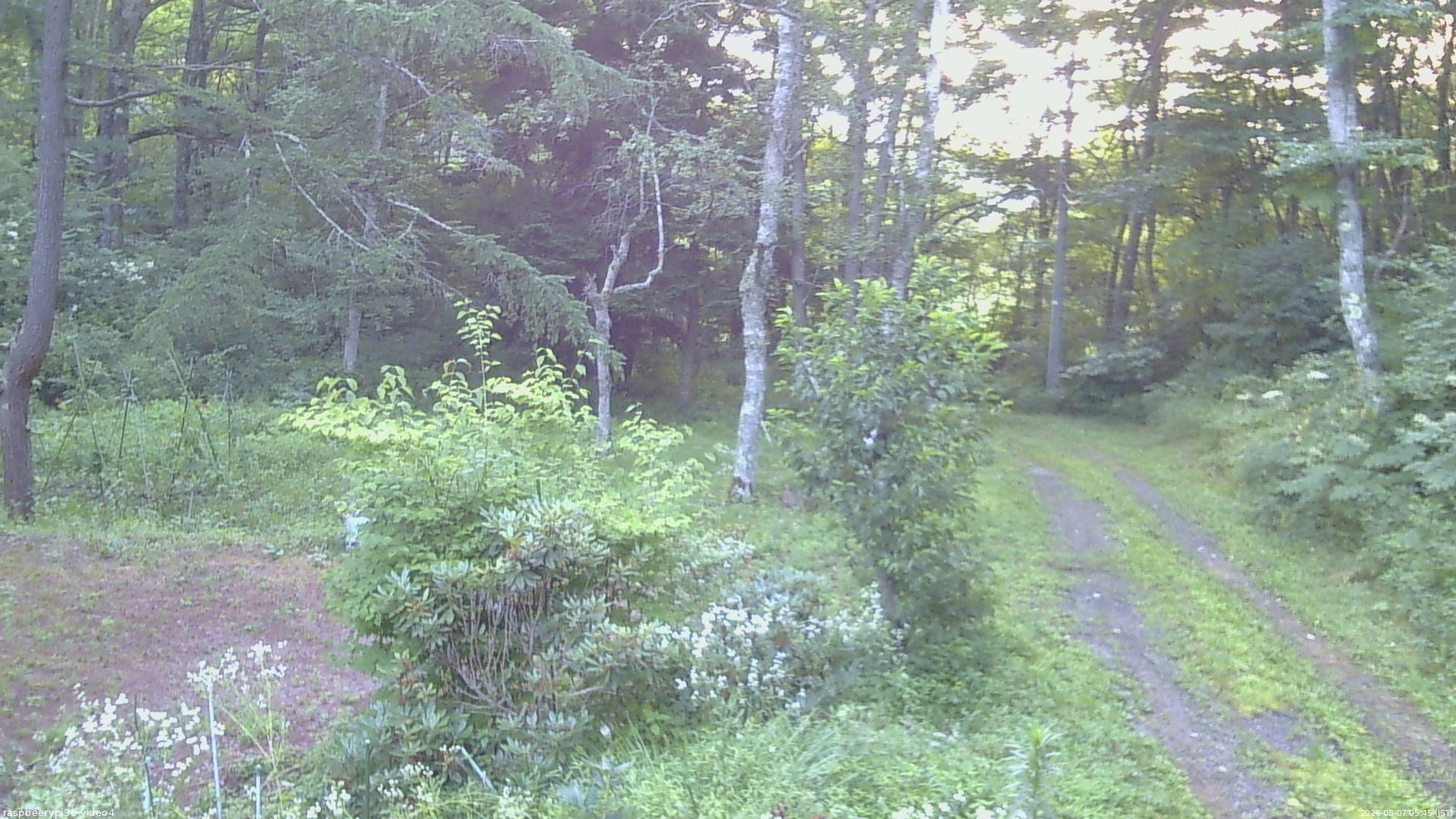 長野県菅平高原 ゆたか山荘 坂上 2026/08/07 05:45