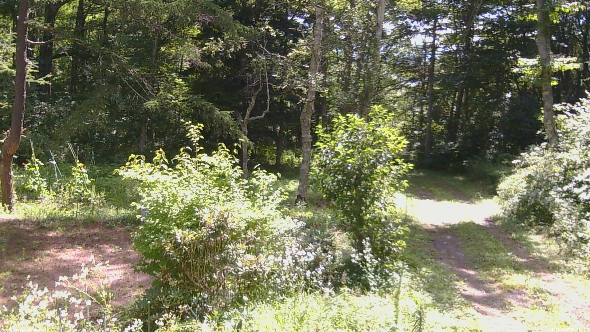 長野県菅平高原 ゆたか山荘 坂上 2026/08/07 09:45