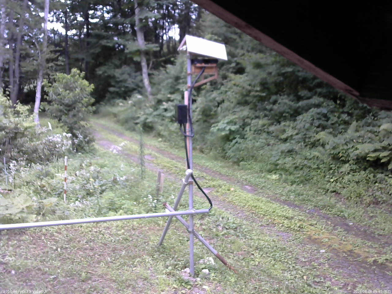 長野県菅平高原 ゆたか山荘 南側 2026/08/08 09:45