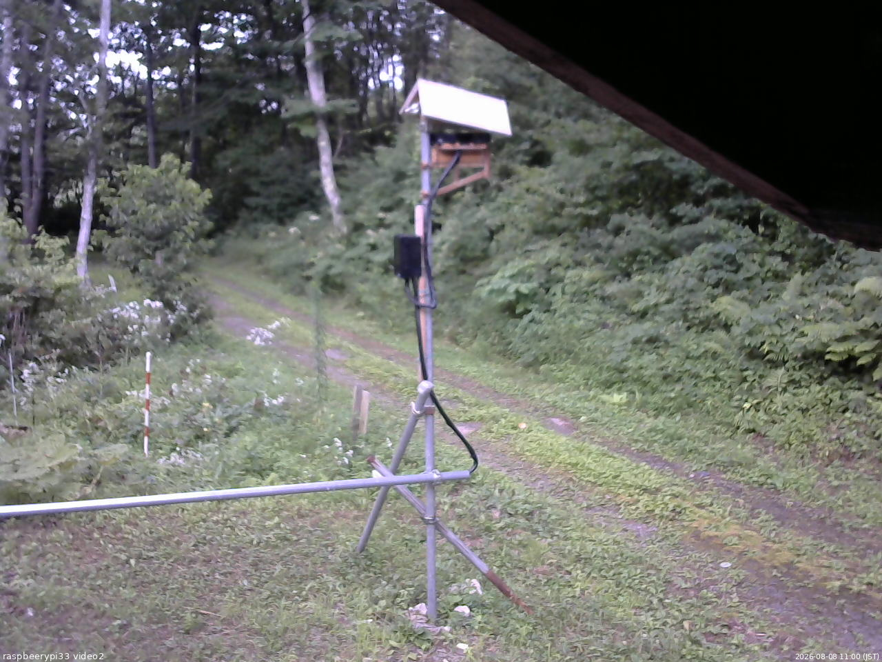 長野県菅平高原 ゆたか山荘 南側 2026/08/08 11:00