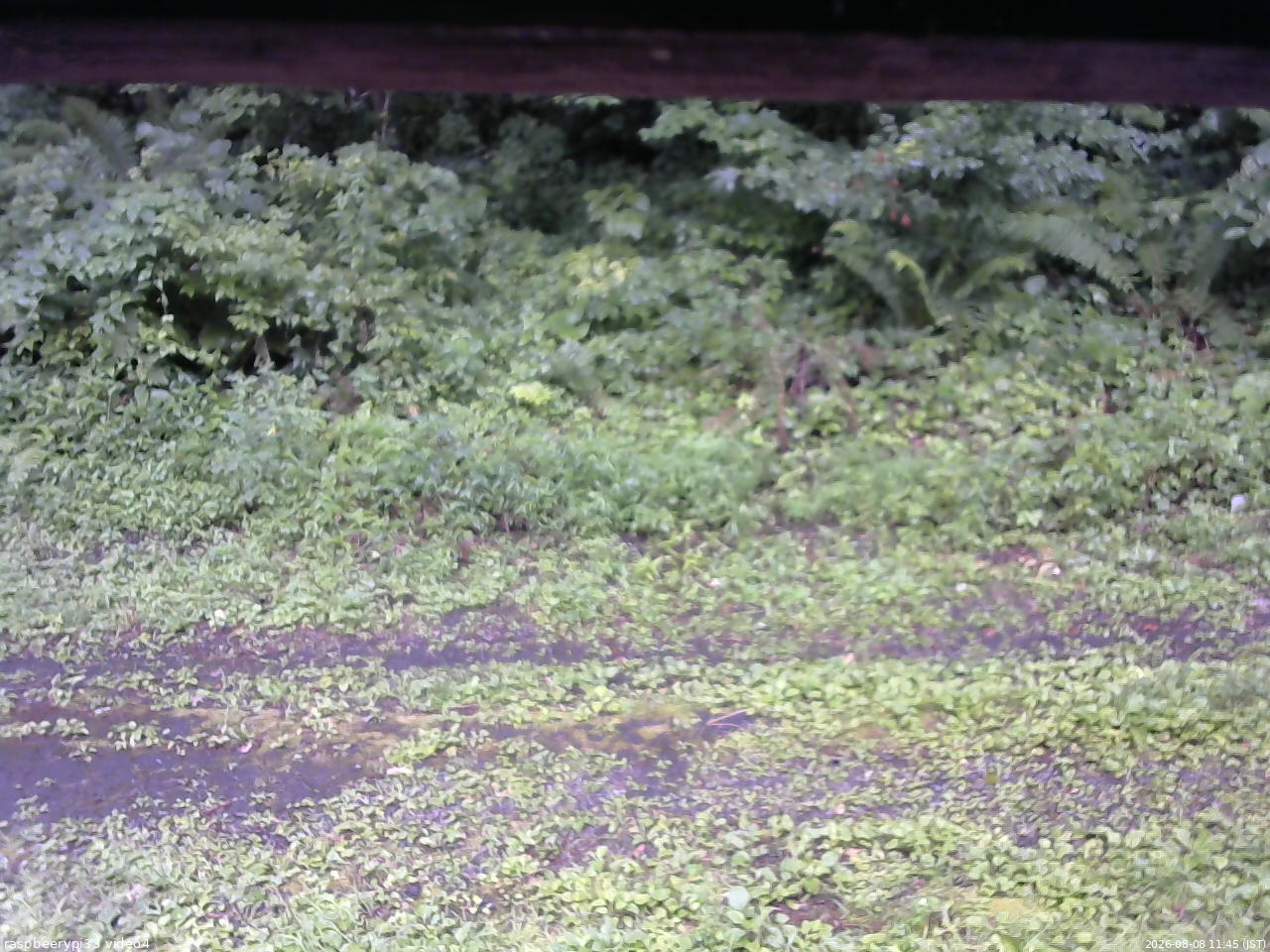 長野県菅平高原 ゆたか山荘 東側(坂下) 2026/08/08 11:45