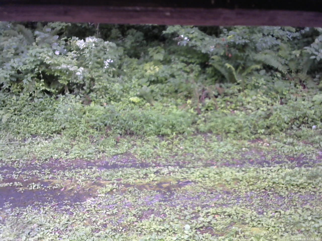 長野県菅平高原 ゆたか山荘 東側(坂下) 2026/08/08 12:30