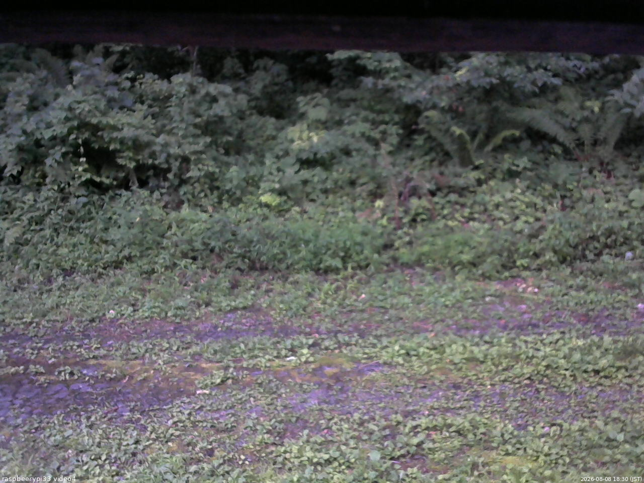 長野県菅平高原 ゆたか山荘 東側(坂下) 2026/08/08 18:30